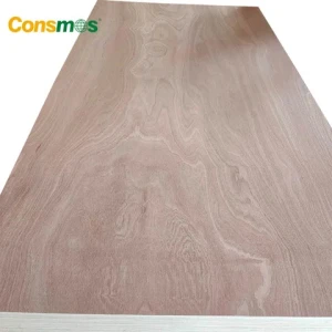 Comsmos 9mm 12mm 15mm 18mm Bintangor Okoume Birch Pine Faced Commercial Plywood