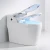 Concealed Tank Heated Bidet Sanitary Ware Electronic Automatic Lid Bathroom Intelligent Cover Smart Toilet Seat