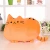 Import Creative cute biscuit cat pillow can be customized logo big face cat toy pillow from China