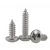 Import Cross Recessed Pan Head Self Tapping Screw with  Stainless Steel from China