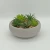 Import Custom handmade small succulent flower pot stone bowl flower pot from China