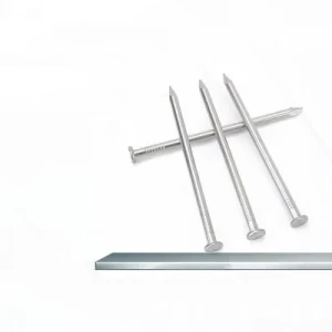 Custom High Strength Galvanized Steel Nails
