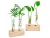 Import Custom Office Home Decoration Wood Plant Stand With Test Tube from China