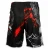 Import Customizable Full Sublimation MMA Grappling Fight & Training Shorts from Pakistan