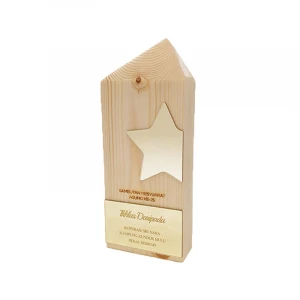 Customize Wooden Trophies and Award Acrylic Plaque