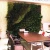 Decorative Mall Hotel Restaurant AirPort Artificial Plastic Green Wall Plants