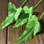 Import Decorative Real Touch Artificial Calla Lily Leaf PU Calla Leaves Artificial Plant from China