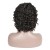 Import Deep Curly Brazilian Short Hair Transparent Lace Front Wigs from China