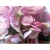 Import Design Home Decoration artificial flower branch from China