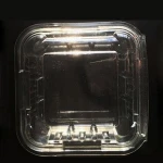 Disposable Clamshell Transparent PET/PP/PS Plastic Food Vegetable Fruit Tray