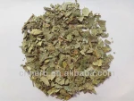 Dried Guava leaf Guayaba leaves Folium Psidii Guajavae Wax apple Psidium guajava Guaudio videoa Slimming tea
