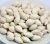 Import dried Raw Ginkgo Nuts good price Dried Gingko Good Quality from South Africa