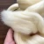 Import drop shipping 100% Australian merino  wool roving top thick yarn cream color from China