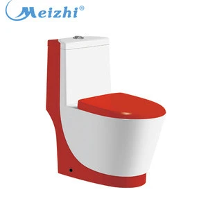 Duravit toilet supplies for disabled