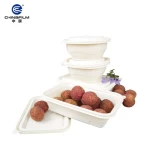 Eco Friendly Food Storage Lunch Box Food Container Takeaway Food Boxes
