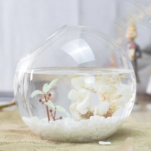 Ecological glass pot ornamental fish tank