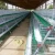Import egg chicken cage for chicken layer cage for 50000chicken from China