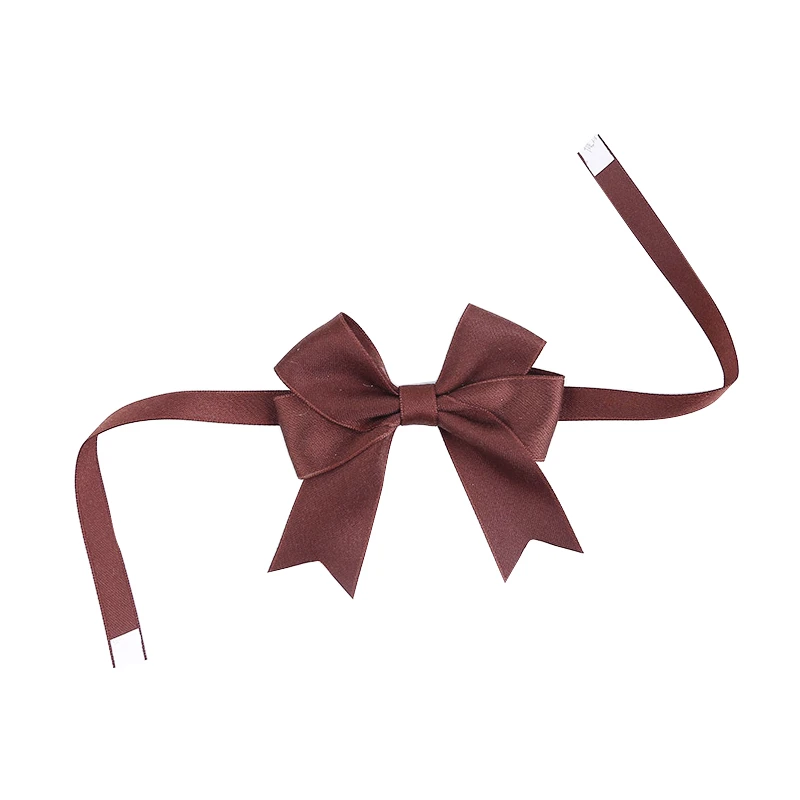 Elaborate Gift Box Ribbon Bow