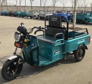 Factory direct sales new battery powered three wheel electric cargo tricycles