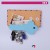 Import Factory Direct Sticker Wall Mounted Plastic Letter Holder with Magnetic Key Holder from Hong Kong