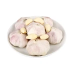Factory Directly selling   normal  Garlic  high quality for export fresh garlic normal white