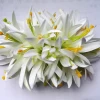 Factory Supplier CH0317A-2 5 Colors 18 CM Artificial Velvet Spider Lily Hair Clip Decoration Hawaii Women Flower Hair Claw