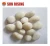 Import Fast Delivery High Polished Natural River Pebble Stone for Garden Landscaping from China
