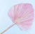 Import FCD1010 Dried Flowers dried Large palm leaves kinds of dried palm different shape and size for home and wedding decoration from China
