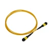 Fiber Optic Equipment 12/24 Fiber Single Mode Trunk Cable 9/125 Patch Cord MPO to MPO Female Male Fiber Optic Patch Cord