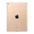 Import for ipad pro 12.9 Tablet Back Cover TPU Gel Case for Apple iPad 10.2for ipad mini 5 from China