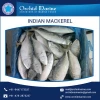 Fresh &amp; Frozen Seafood Mackerel Tin Fish at Lowest Price