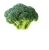 Import Fresh Broccoli ,Fresh Green Brocolli,Frozen fresh broccoli from South Africa