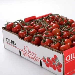 Fresh Cherry Tomatoes for Sale