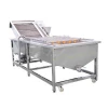 Fresh Ginger Cleaning Machine/Vegetable Washer With Best Price