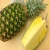 Import FRESH GOLDEN PINEAPPLE (MD2) from China