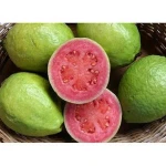 Fresh Guava