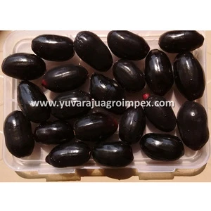 Fresh Indian Black Jamun Fruits