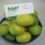 Import Fresh Lime from India