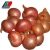 Import fresh onion 2019, Fresh Onion Poland from China