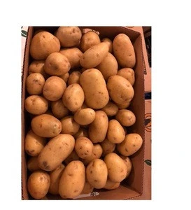 Fresh Potatoes for Sale / Fresh Irish Potatoes for export