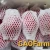 Import Fresh Red and White Dragon Fruit Made in VietNam with High quality from Vietnam