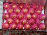 Fresh Red Delicious apple