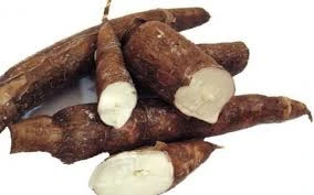 Fresh Tapioca / Cassava so Delicious from Vietnam