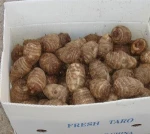 Fresh Taro , Pakistani