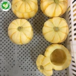 Frozen Fresh Whole Mini Pumpkin