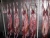 Import Frozen Goat meat frozen halal goat meat for sale from Germany