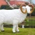 garden decoration animatronic life size fiberglass sheep
