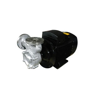 Gasoline and other low viscosity liquid transfer pump booster pump