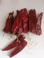 Good Price Pungency below 400 SHU Dry Pepper Red hot slimming Dried Chili
