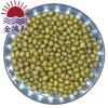 Good price various class sizes wholesale green mung beans crop price seed gram export excellent supplier